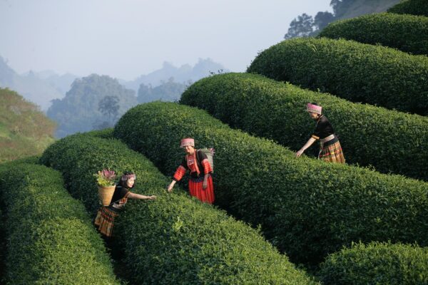 Como Evitar Ser Substituído por um Robô em 2026: Dicas Práticas para Profissionais