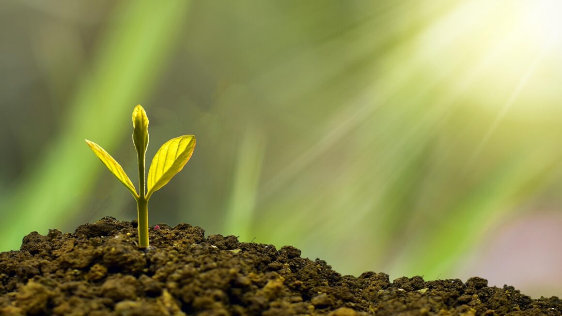 Como Ganhar Dinheiro em Casa em 2026 Usando Apenas o Celular: 10 Dicas Eficazes